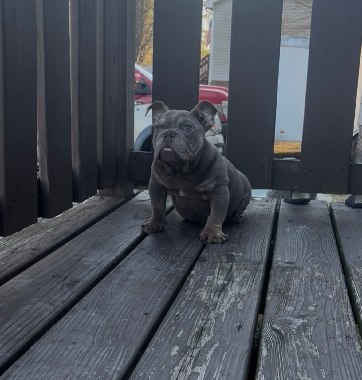 Pablo