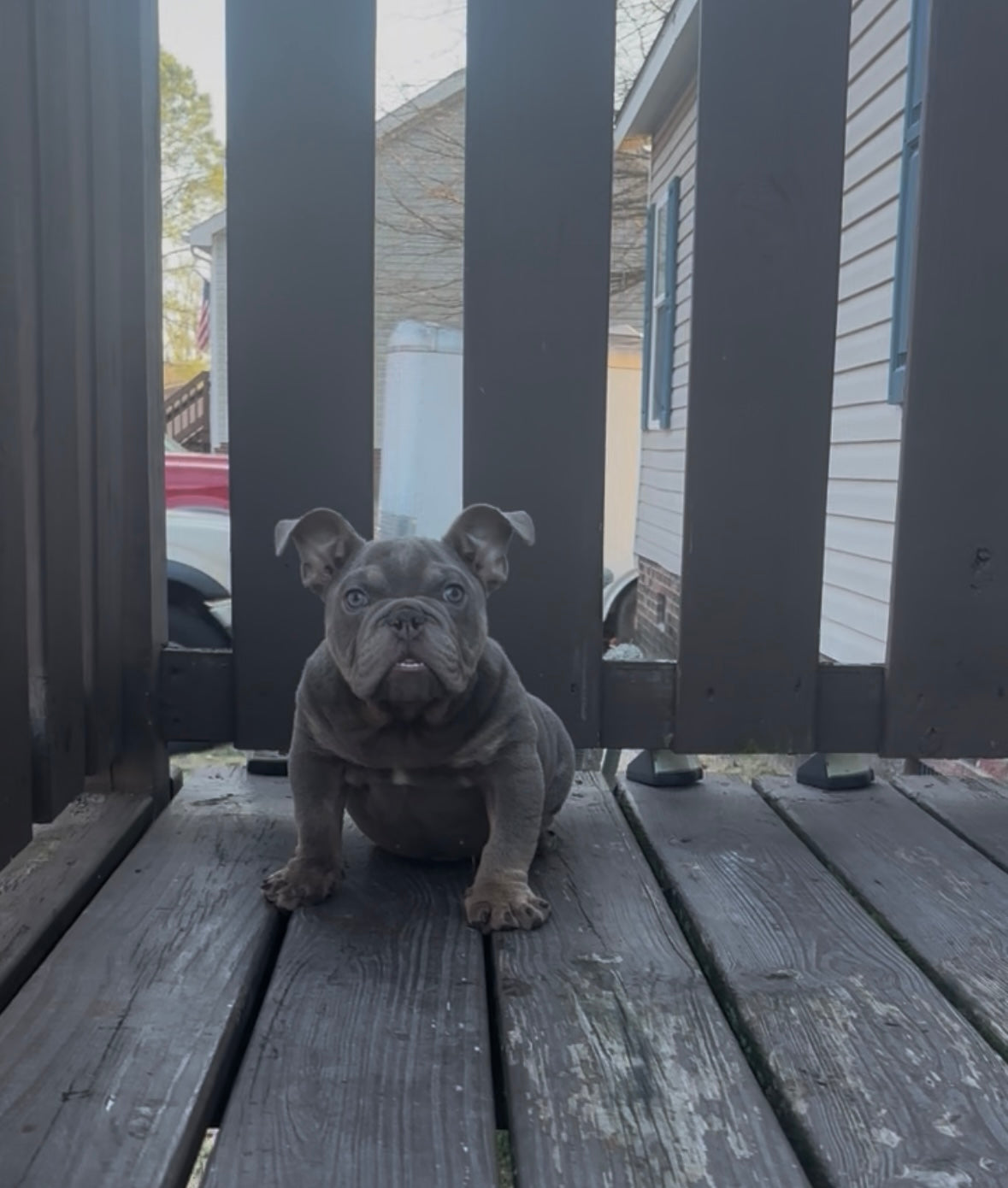 Pablo