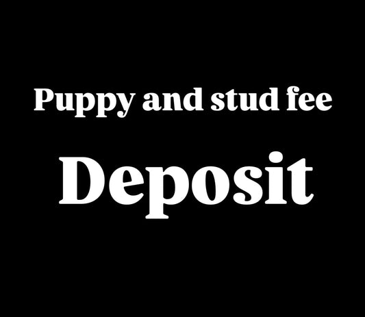 Deposit